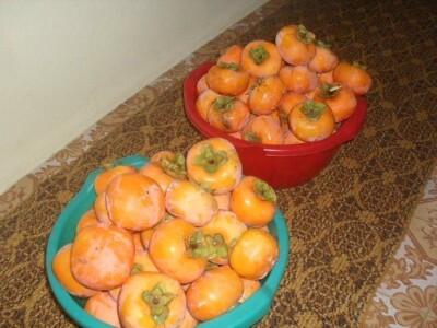 Japanske jabuka  kaki