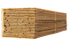 JELOVA DASKA 22 – 25 MM