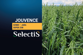 JOUVENCE - ozimo-jara zob