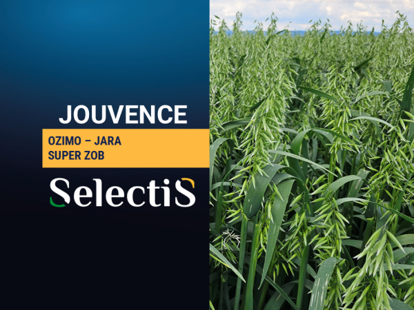 JOUVENCE - ozimo-jara zob