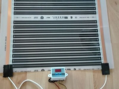 KAKO GRIJATI KLIJALIŠTE, SADNICE, REZNICE,