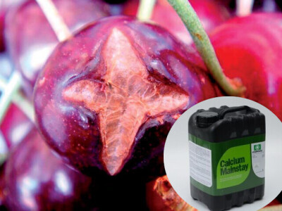 Kalcij s visokim učinkom za poboljšanje kvalitete ploda