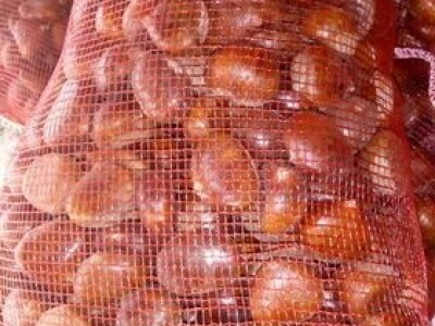 Kalemljeni kesten - prinos od 5 do 7 t po hektaru