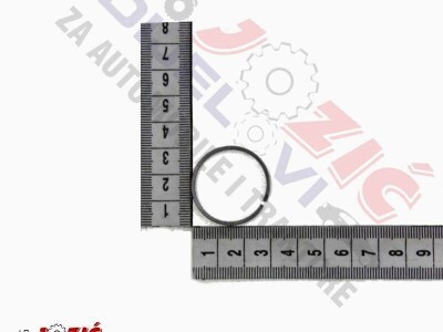 KARIKA MJENJAČA JD R39283