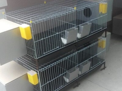 Kavezi za pilice i zeceve - Novi Sad