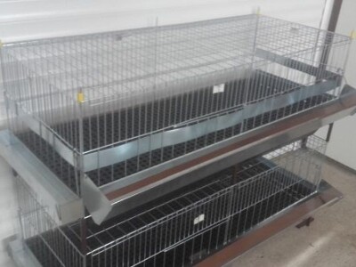 Kavezi za pilice i zeceve - Novi Sad