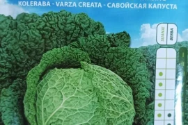 Kelj Vertus