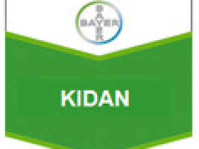 Kidan
