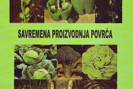 Knjiga, Savremena proizvodnja povrća