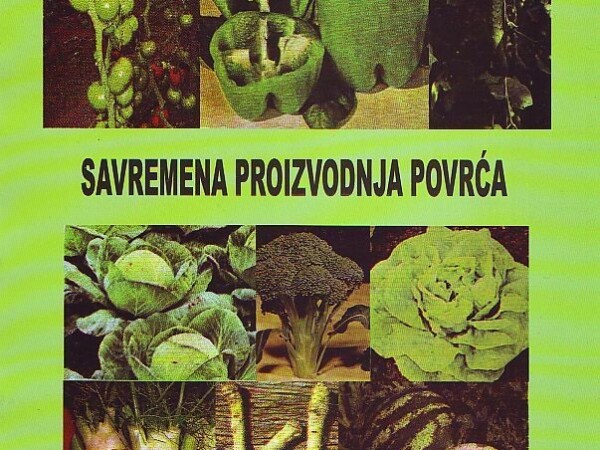 Knjiga, Savremena proizvodnja povrća