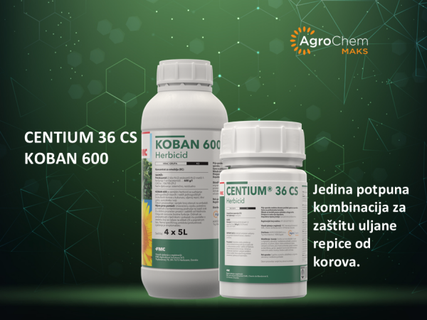 KOBAN 600 I CENTIUM 36 CS - ZAŠTITA ULJANE REPICE U pre-em ROKU