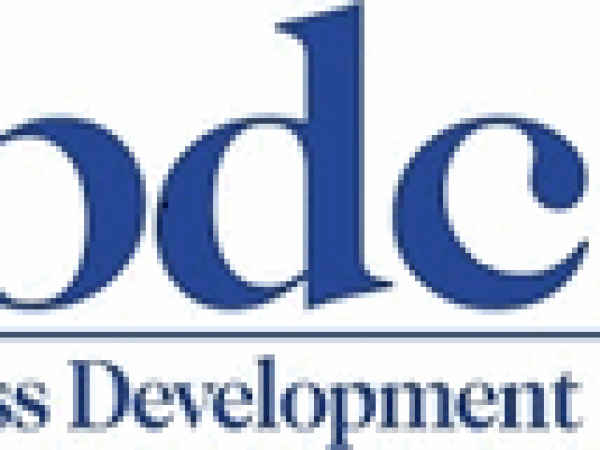 Konzultantske usluge