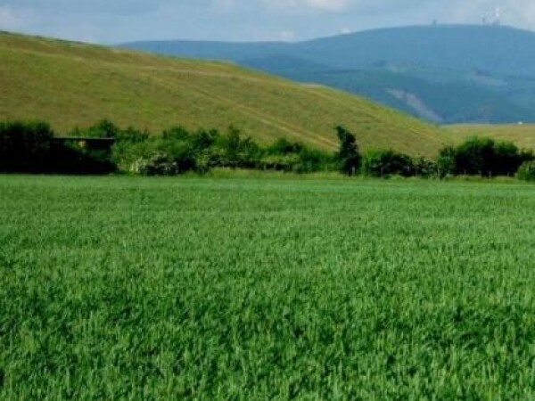 Bio - Algeen S - 92 sredstvo za stimuliranje rasta biljke