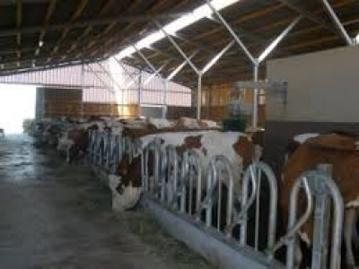 Arhitektonske usluge, izrada projektne dokumentacije