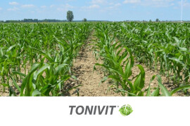 TONIVIT - aktivator boljeg ukorjenjivanja biljaka