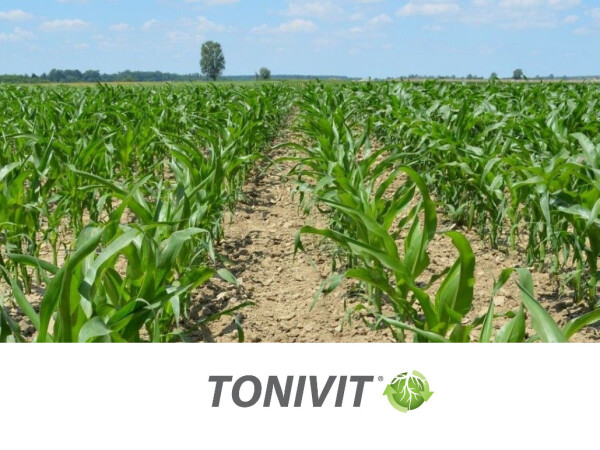 TONIVIT - aktivator boljeg ukorjenjivanja biljaka