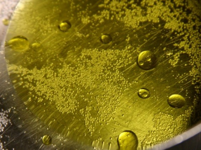 Купујем органске сировине, отпад и нуспроизводе за производњу биогаса!