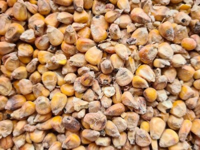 Купујем органске сировине, отпад и нуспроизводе за производњу биогаса!