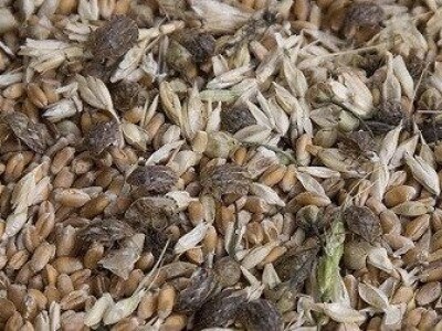 Купујем органске сировине, отпад и нуспроизводе за производњу биогаса!