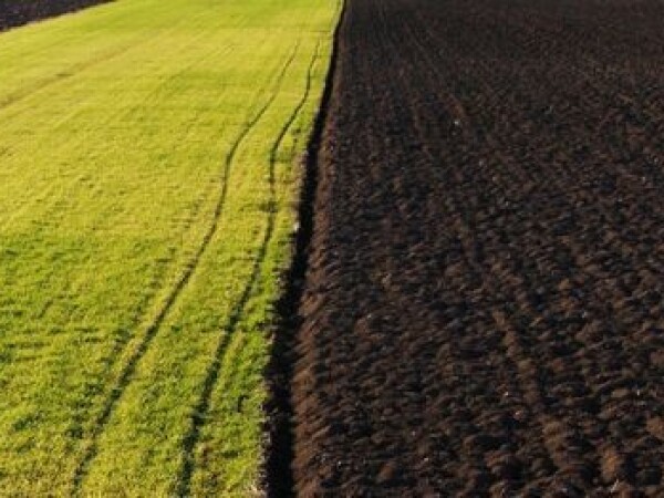 Kupujem poljoprivredna zemljišta