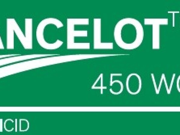 LANCELOT 450 WG - herbicid protiv širokolisnih korova