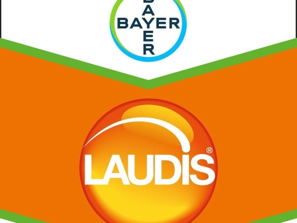Laudis