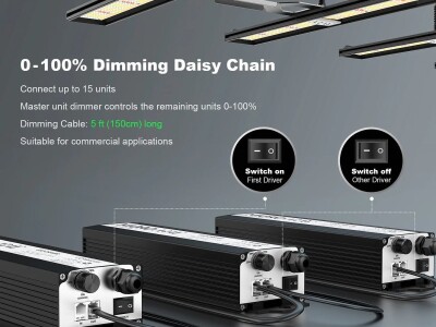 LED rasvjeta za uzgoj biljaka