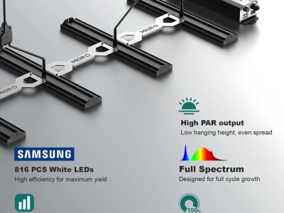 LED rasvjeta za uzgoj biljaka
