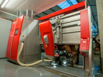 Lely Astronaut A5, robot za mužu krava