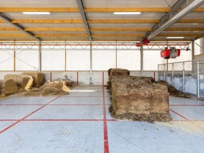 LELY VECTOR, Robotizovani sistem ishrane