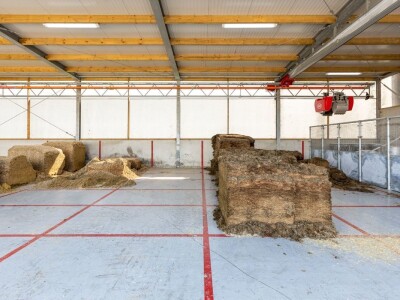 LELY VECTOR, Robotizirani sustav hranidbe