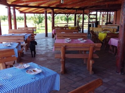 Leto u Srbiji 2020, vaučeri Novi Sad