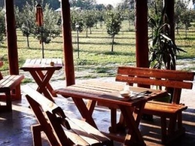 Leto u Srbiji 2020, vaučeri Novi Sad