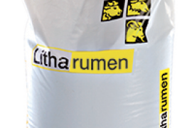 LITHARUMEN