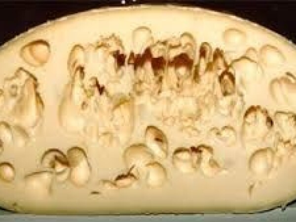 Zaštita i njega sira - lizozim