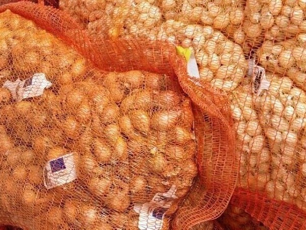 Ljutika Golden Gourmet 500 g