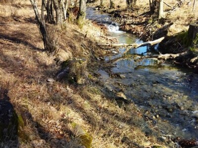 Poljoprivredno zemljište