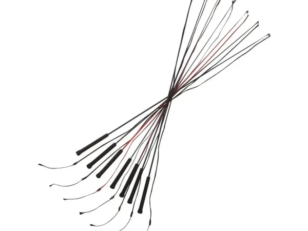 Lonžirni bič fiber Whip and Go