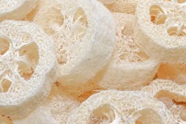 Tikva LUFFA (spužva)