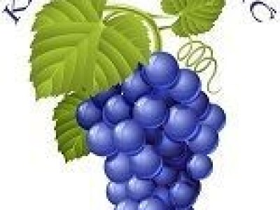 Lozni kalem i sadnice voća