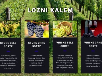 Lozni kalem i sadnice voća