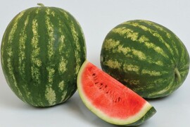 Lubenica Baraka F1 1000 sem