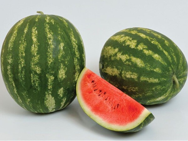 Lubenica Baraka F1 1000 sem