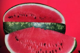 Lubenica Fantasy F1 50g