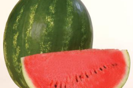 Lubenica Karistan F1 1000 sem