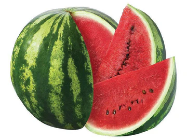 Lubenica Roman F1 1000 sem