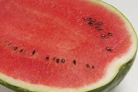 Lubenica Topgun F1 1000 sem