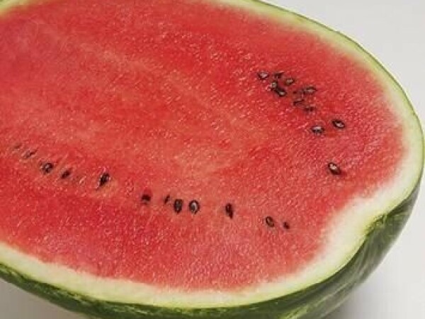 Lubenica Topgun F1 1000 sem