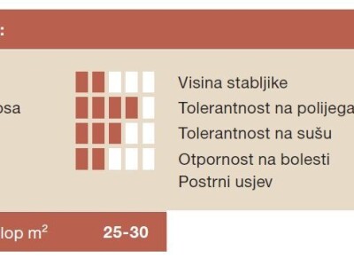 KWS LUPUS - hibrid sirka NOVO