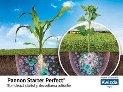 Pannon Starter Perfect Pro